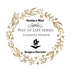 Free Beginner's Course
